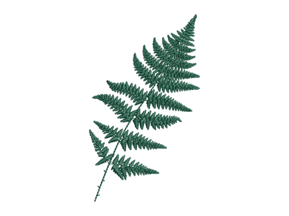Fern Leaf Botanical Embroidery Design Review